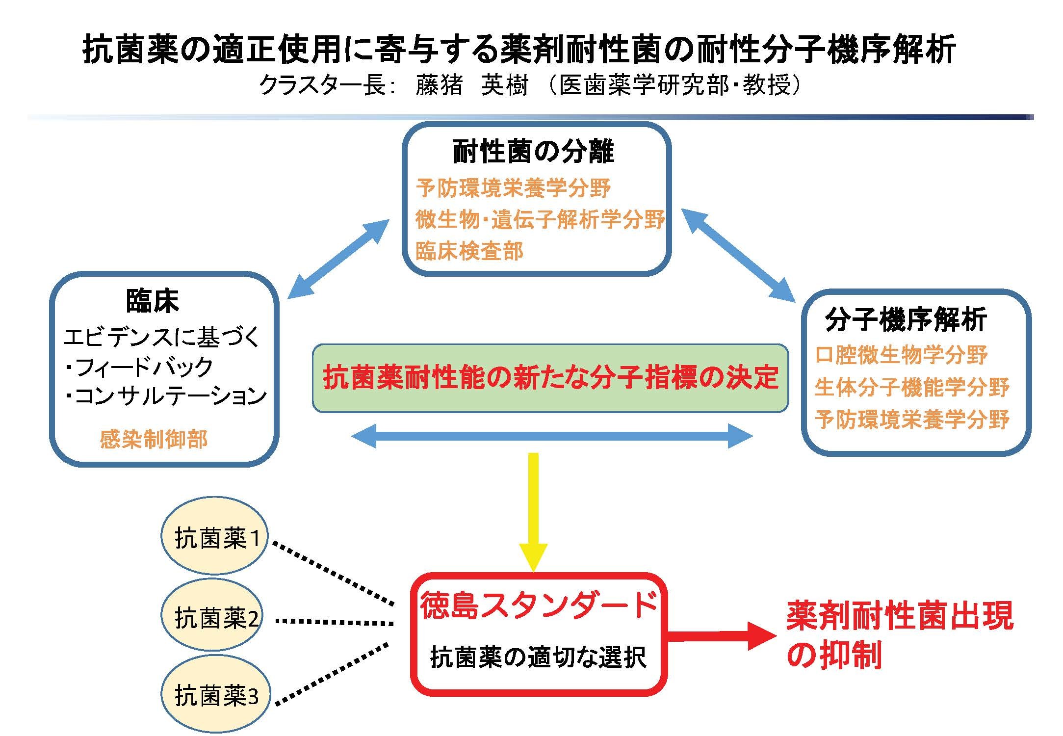 終了】抗菌薬の適正使用に寄与する薬剤耐性菌の耐性分子機序解析 