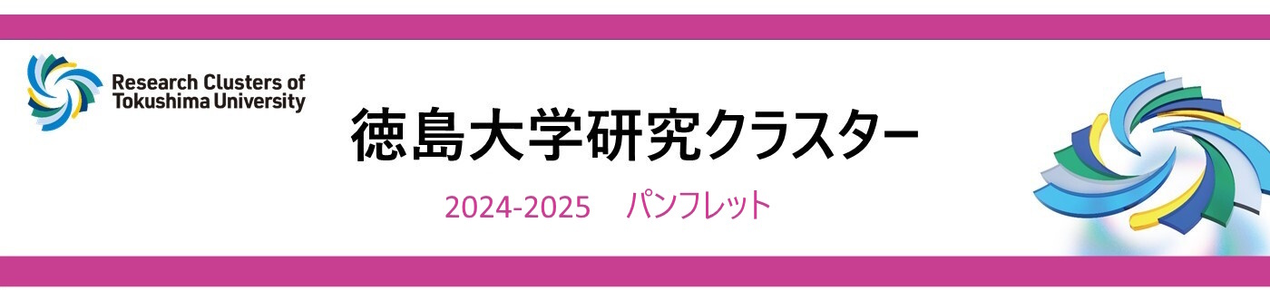 2024-2025研究クラスターパンフレット